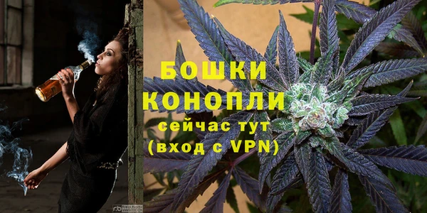 хмурый Бородино