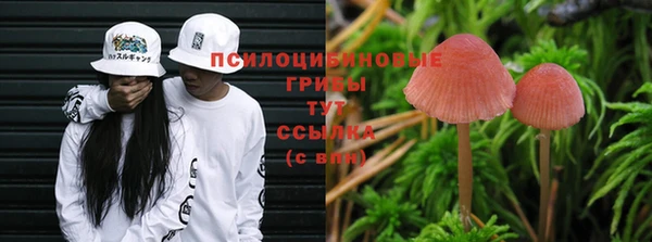 стаф Верхнеуральск