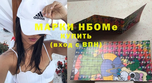 хмурый Бородино