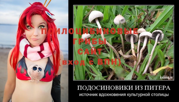 хмурый Бородино