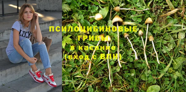 метамфетамин Верея