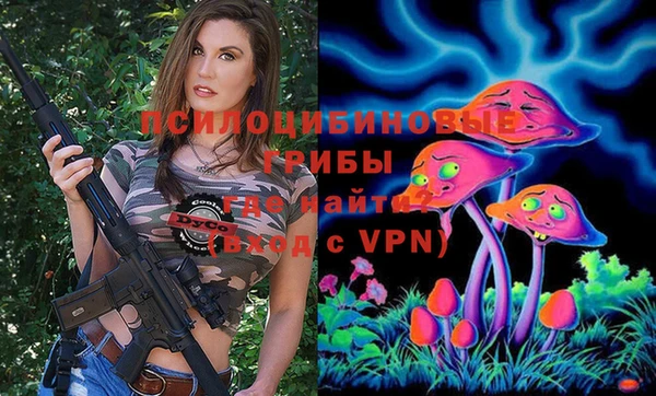 хмурый Бородино