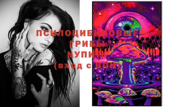 хмурый Бородино