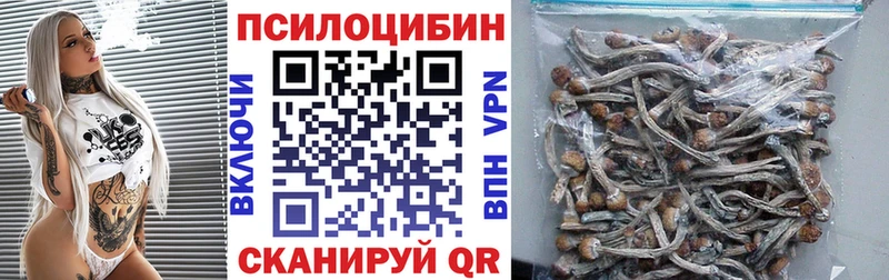 Галлюциногенные грибы мицелий  Павловск 